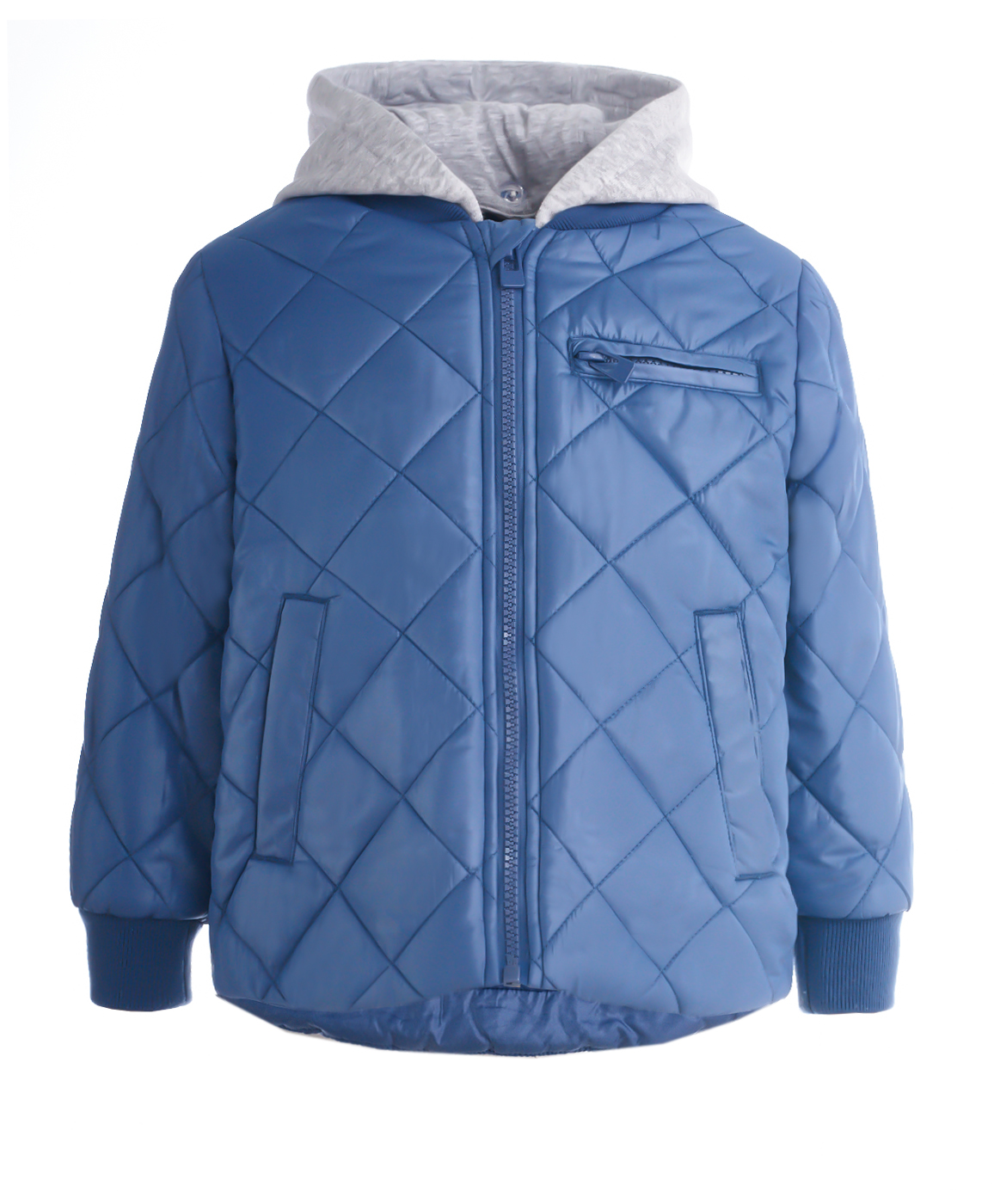 фото Синяя демисезонная куртка button blue