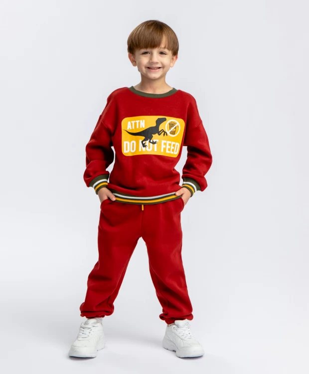 фото Брюки трикотажные с начесом красные button blue (110)