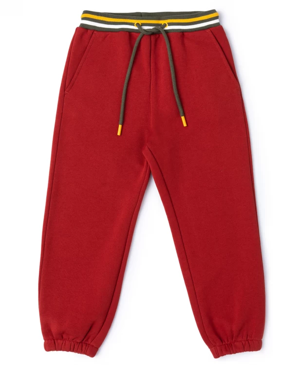 фото Брюки трикотажные с начесом красные button blue (110)