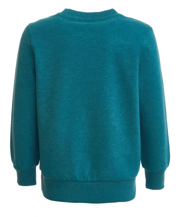 фото Бирюзовая толстовка из футера button blue (128)