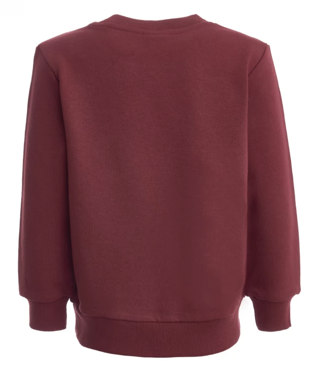 фото Красная толстовка из футера button blue (98)