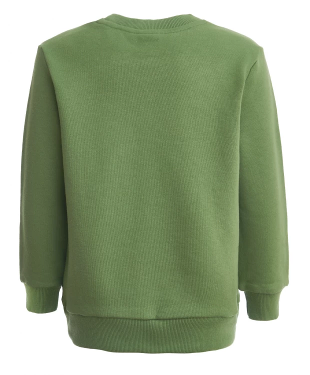 фото Зеленая толстовка из футера button blue (134)