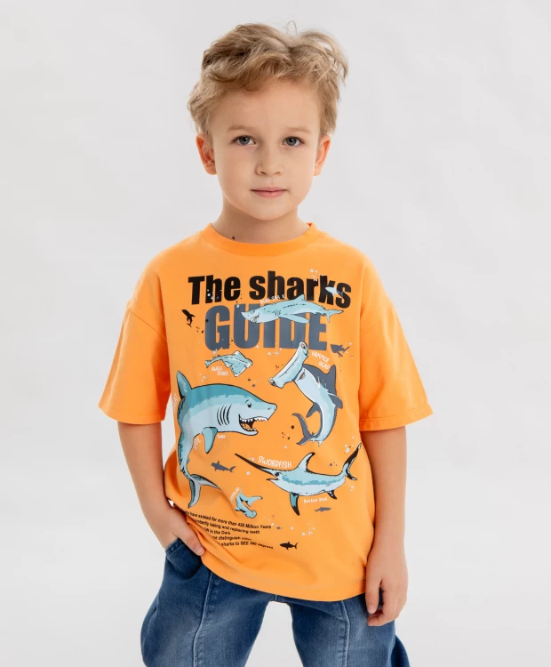 Футболка с принтом оранжевая для мальчика Button Blue футболка с принтом бежевая для мальчика button blue