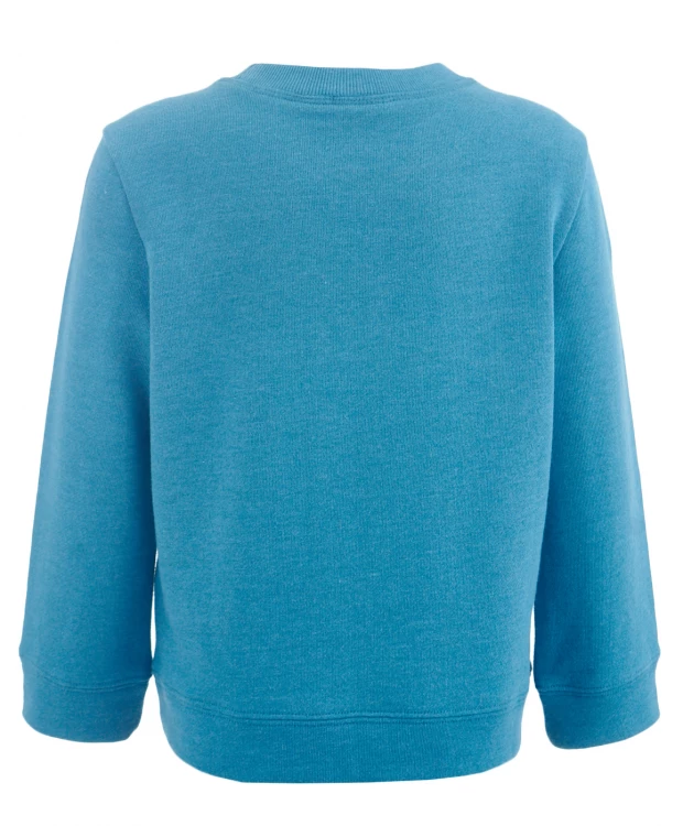 фото Толстовка нераспашная button blue (116)