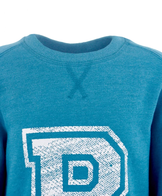 фото Толстовка нераспашная button blue (116)