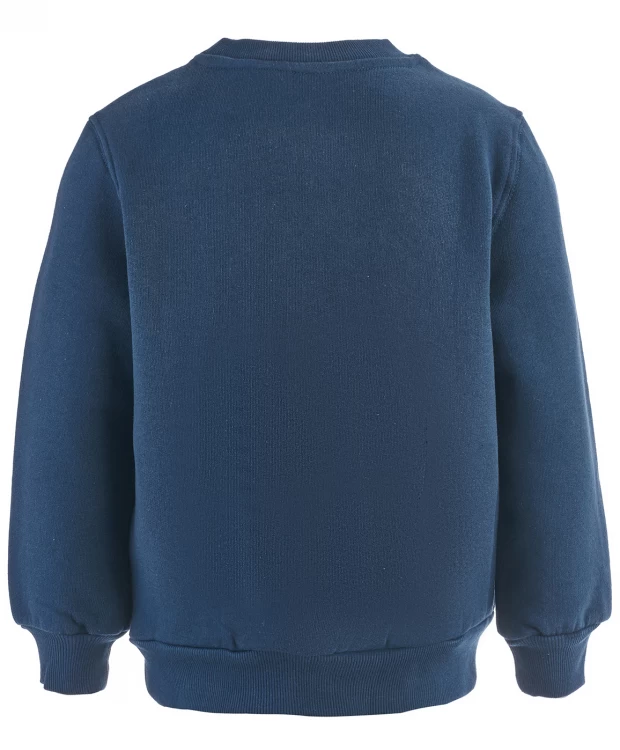 фото Толстовка button blue (104)