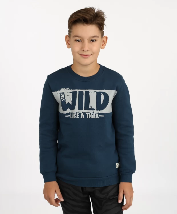 фото Толстовка button blue (104)