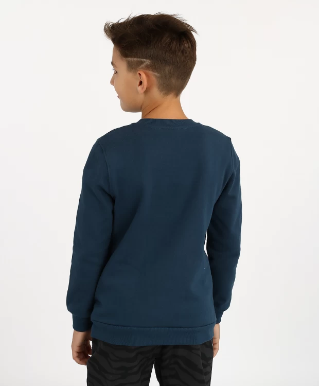 фото Толстовка button blue (104)