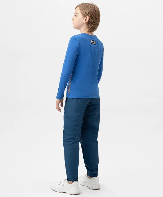 Брюки утепленные демисезонные синие Button Blue