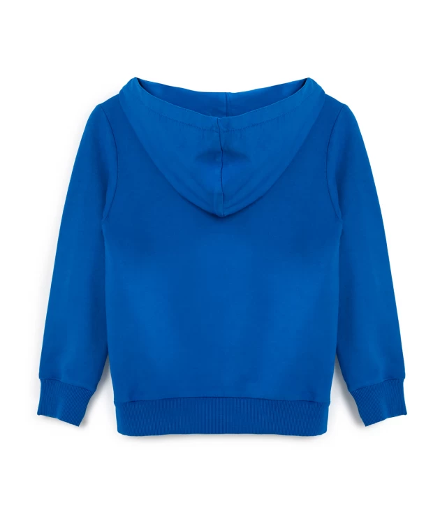 фото Толстовка с капюшоном синяя button blue (122)